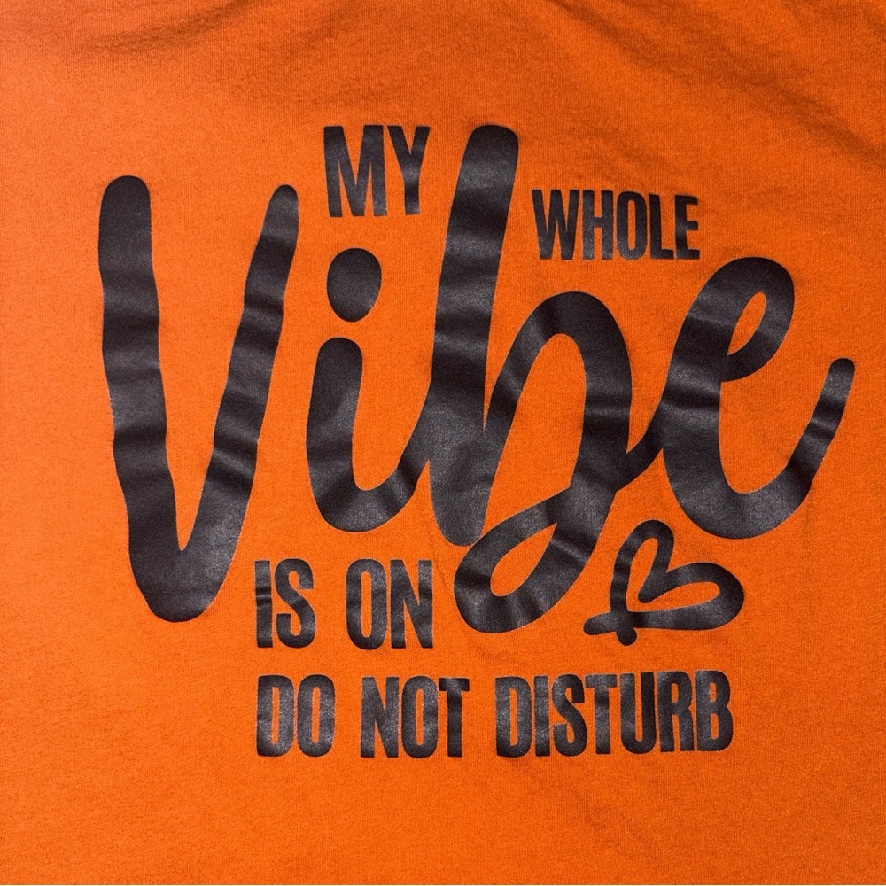 Bella + Canvas Rust Graphic Tee “My Vibe is on Do Not Disturb”